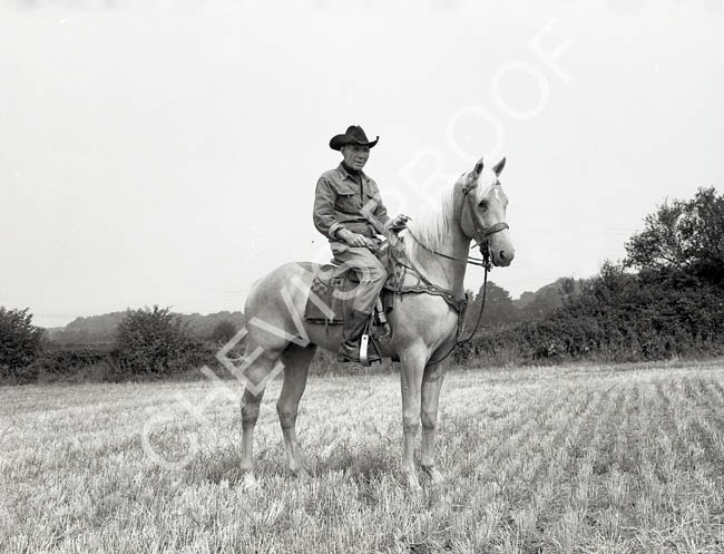 1970 Uncle Jack quarterhorse stallion