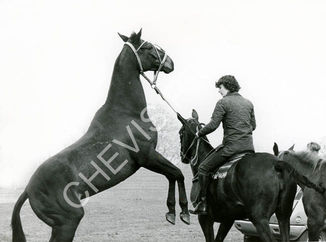 1970s exercise