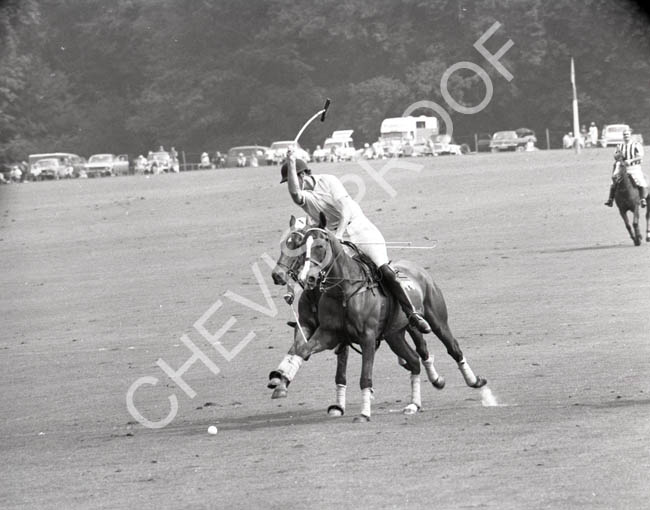 1971 action lawns 2