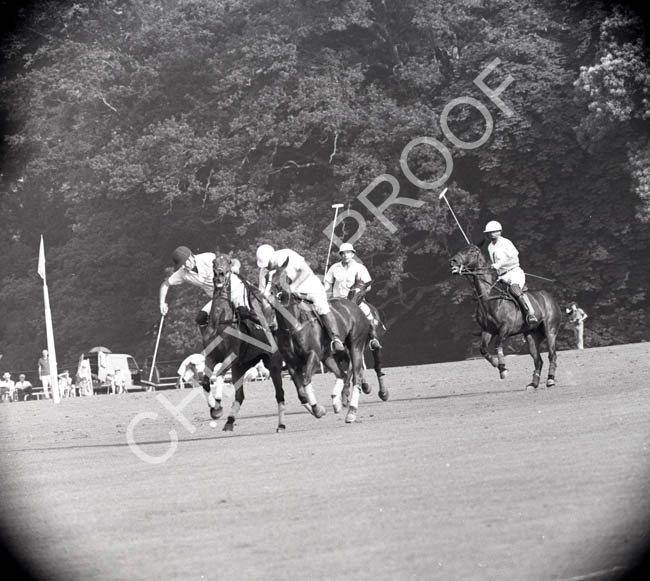 1971 action lawns 3