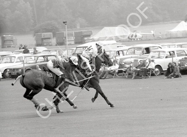 1971 action lawns a