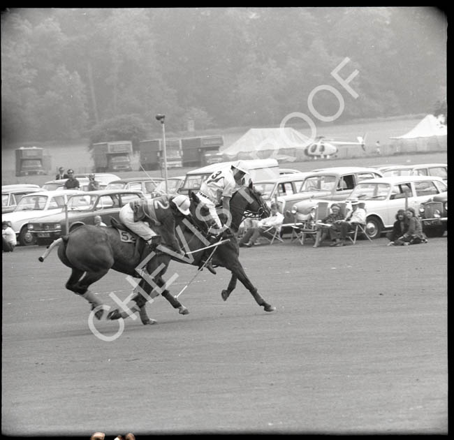 1971 action lawns