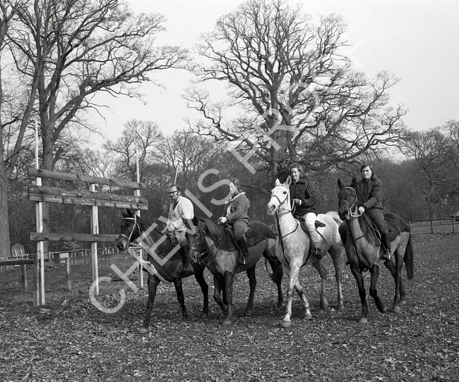 1971 pony exercise
