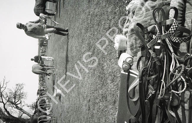 1977 Pony lines 2 (1)