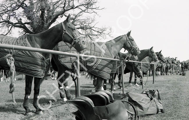 1977 Pony lines 2 (2)