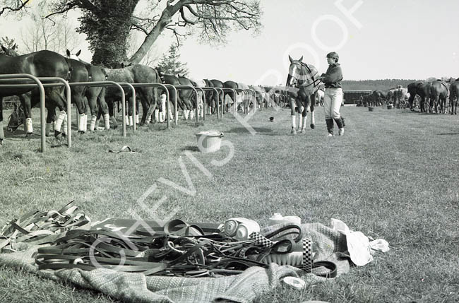 1977 Pony lines 3 (2)