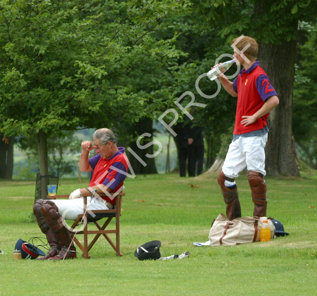 2003 Prince Charles and Harry