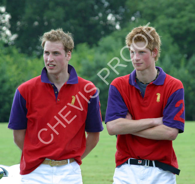 2003 Prince William and Harry 2