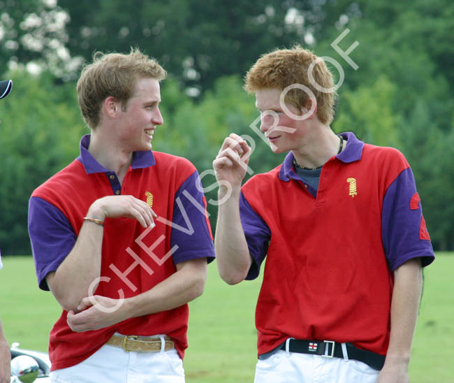 2003 Prince William and Harry 3